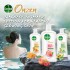 Dettol Onzen Shower Gel/Antibacterial Body Wash Onzen Refill Pouch 850ml Revitalising