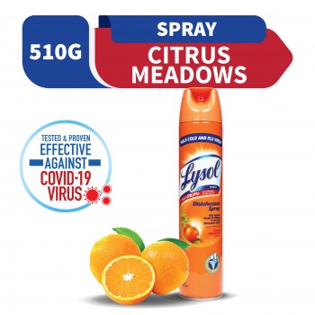 Lysol Disinfectant Spray Citrus Meadow Scent 510g