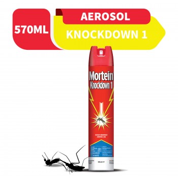 Mortein Knockdown Aerosol 570ml