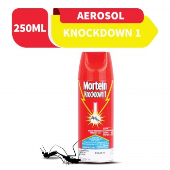 Mortein Knockdown Aerosol 250ml