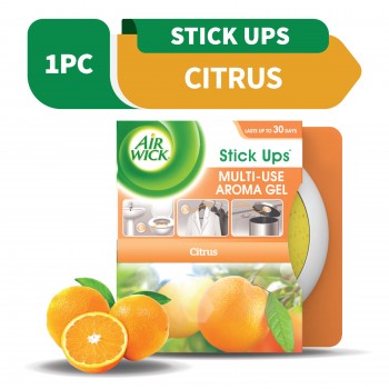 Air Wick Stick Up Gel Citrus 30g